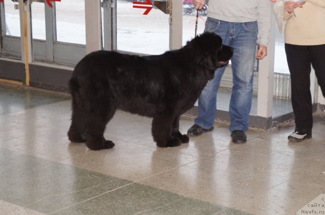 Фотография № 85761