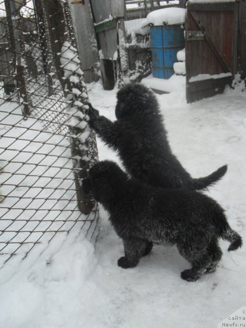 Фотография № 85768