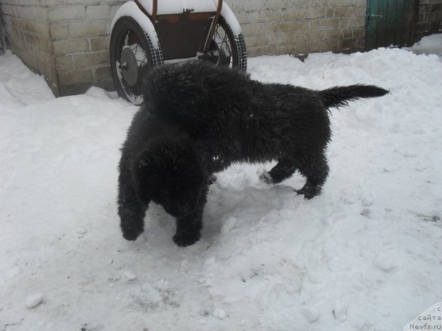 Фотография № 85769