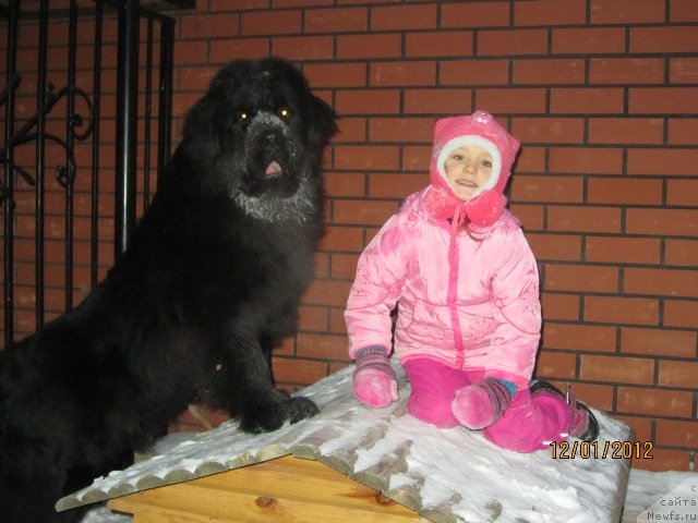 Фотография № 85777