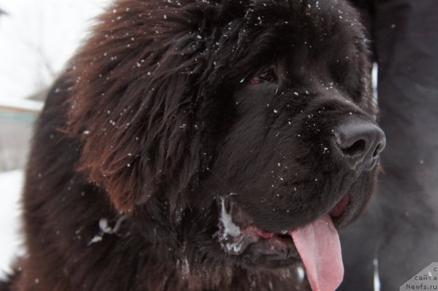 Фотография № 85791