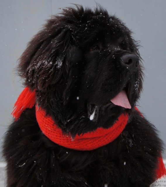 Фотография № 85792