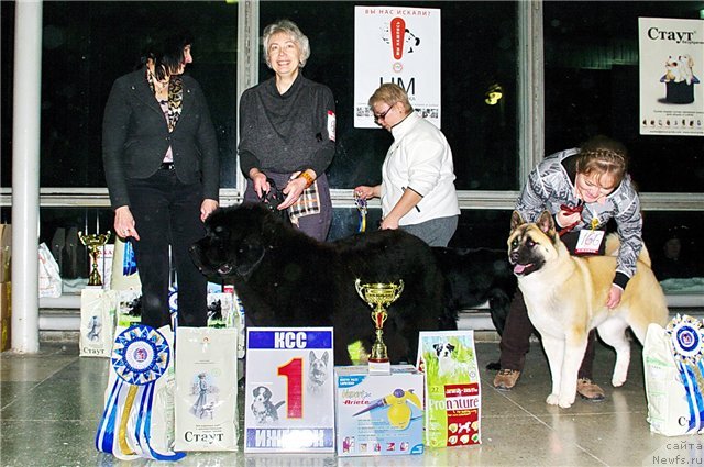 Фотография № 85830