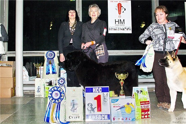 Фотография № 85831