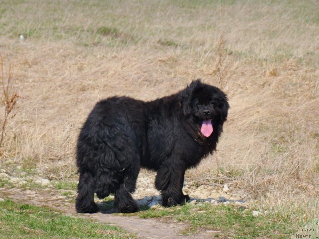 Фото: Aliya Abdurahmanova (Алия Абдурахманова)