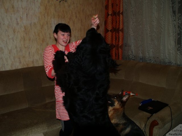 Фотография № 85998