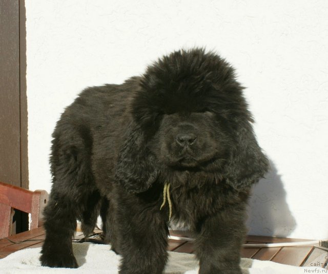 Фотография № 86020