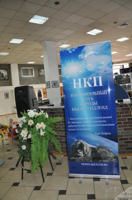 Фотография № 86027