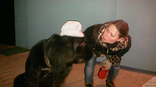 Фотография № 86068