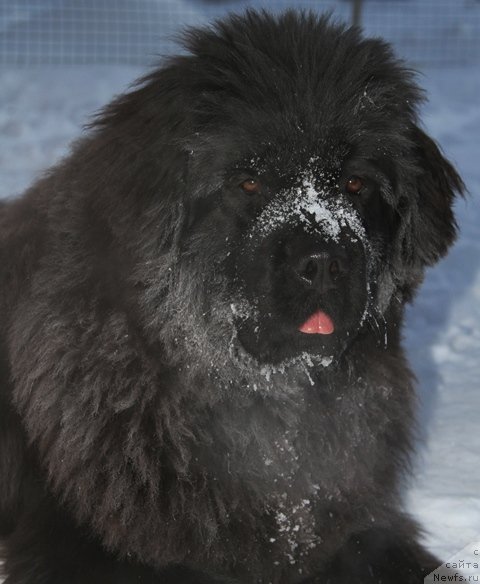 Фотография № 86104