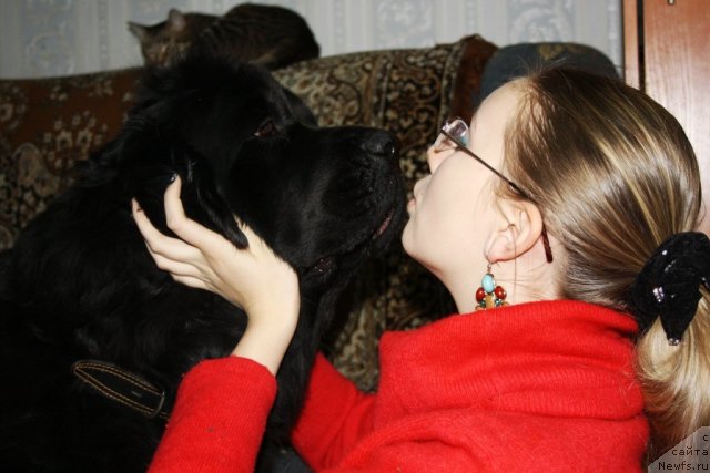 Фото: ньюфаундленд Gloriya Grand Blek (Глория Гранд Блек), и Наташа.