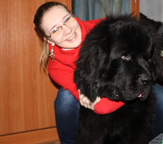 Фото: ньюфаундленд Beguschaya po Volnam Zero Kool (Бегущая по Волнам Зеро Коол), и Наташа.