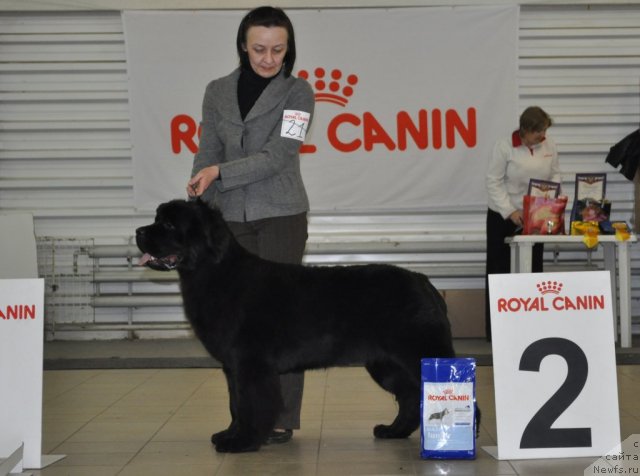 Фотография № 86188