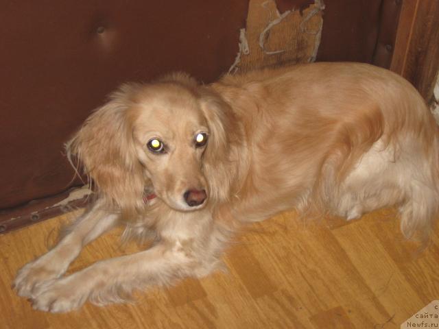 Фотография № 8619