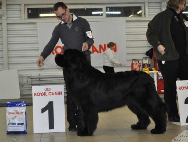 Фотография № 86194