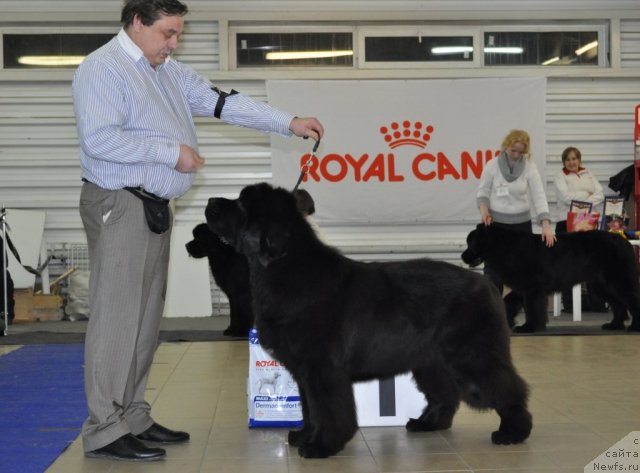 Фотография № 86200