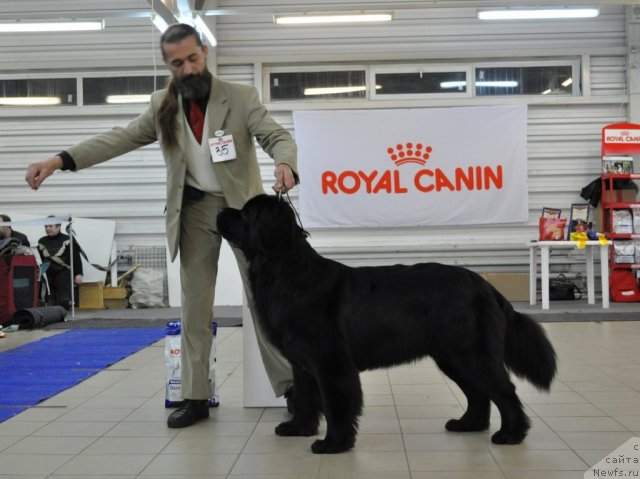 Фотография № 86206