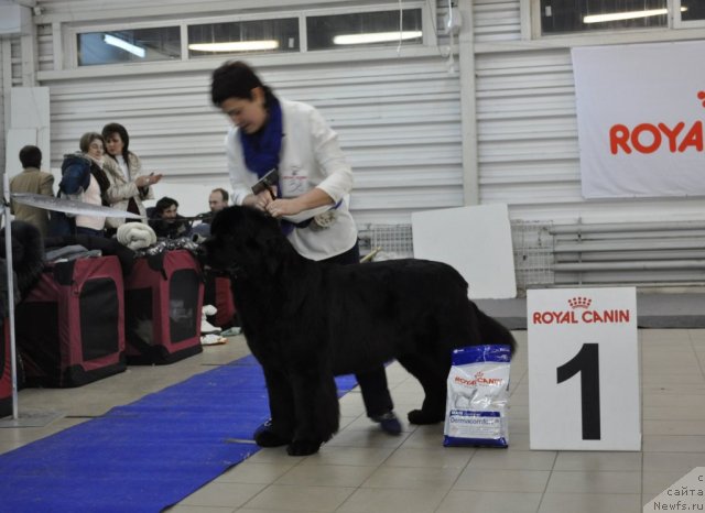 Фотография № 86207