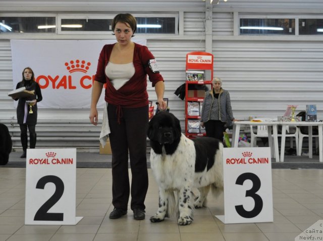 Фотография № 86209