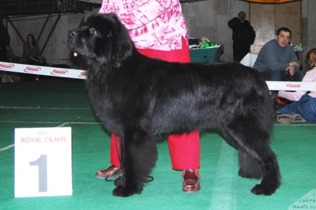 Фотография № 8621