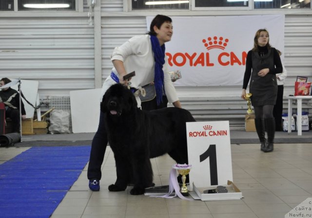 Фотография № 86210