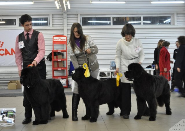 Фотография № 86215