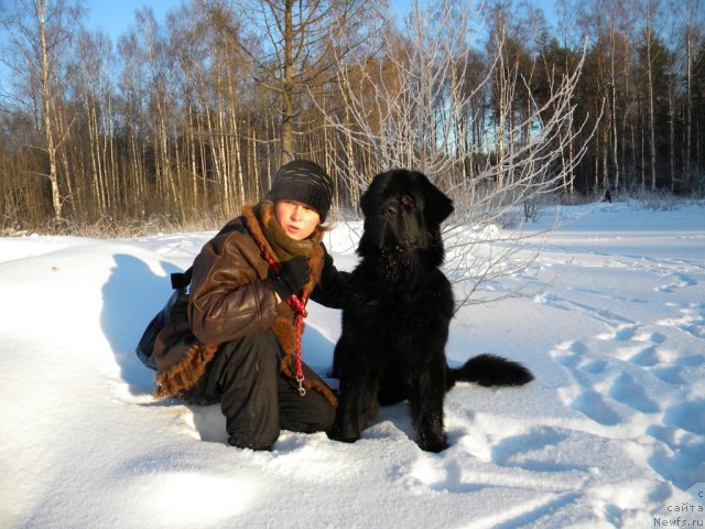 Фотография № 86282