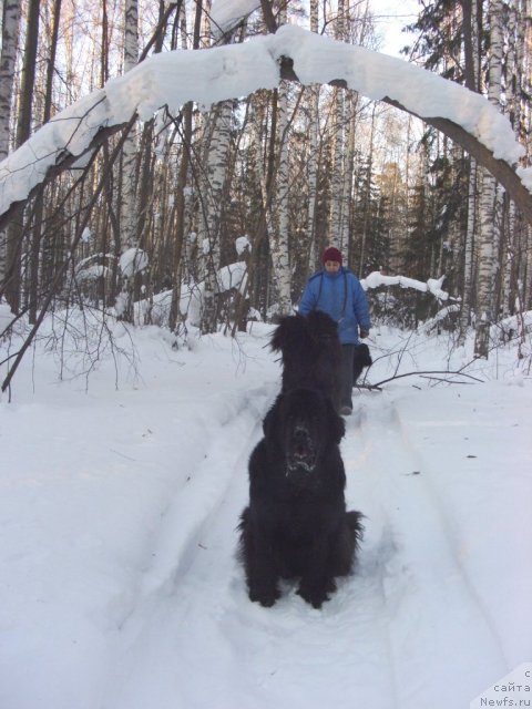 Фотография № 86286