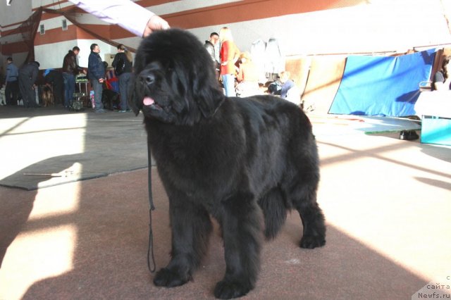 Фотография № 86297