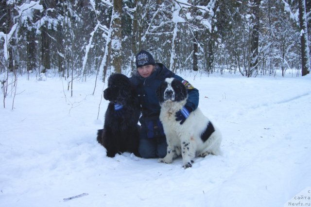 Фотография № 86361