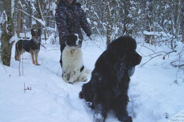 Фотография № 86362