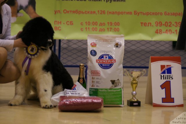 Фотография № 86382