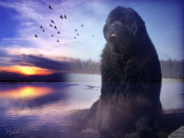 Фотография № 86387