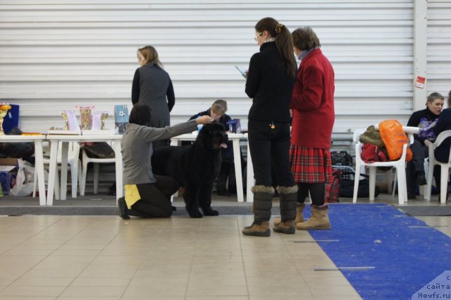 Фотография № 86413