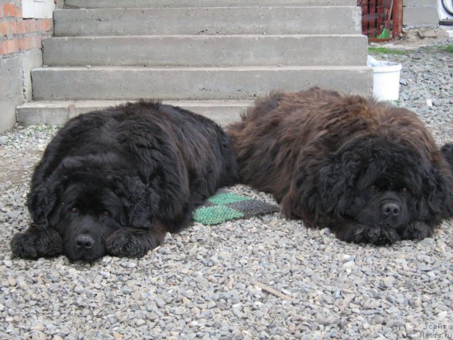 Фотография № 86422