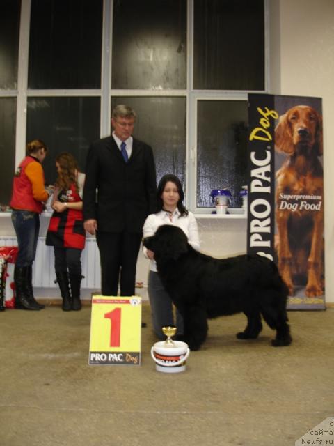 Фотография № 8644