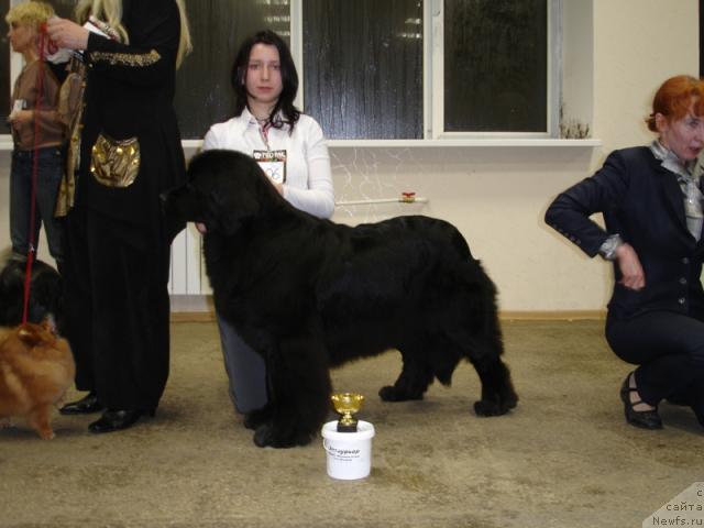 Фотография № 8645