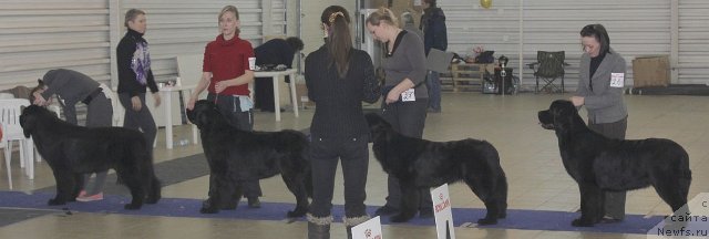 Фотография № 86459