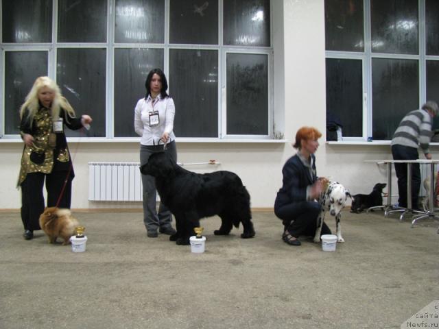 Фотография № 8646