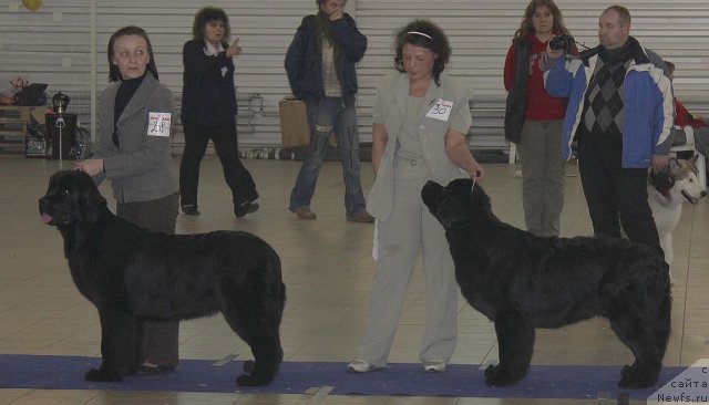 Фотография № 86462