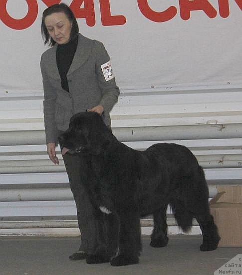 Фотография № 86465