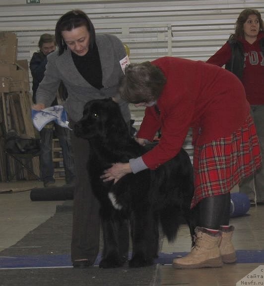 Фотография № 86466