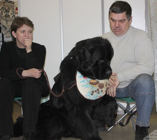 Фотография № 86470