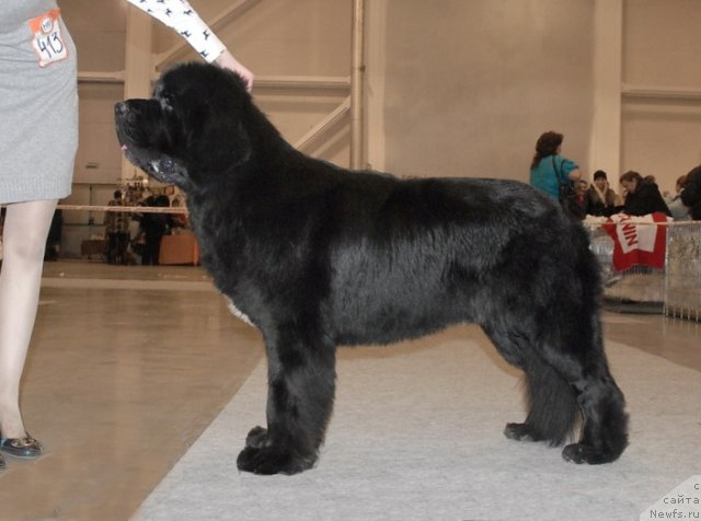 Фотография № 86472