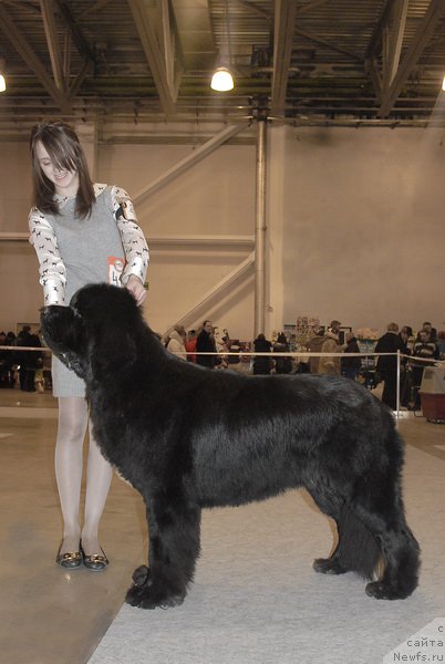 Фотография № 86473