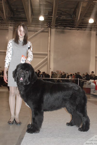 Фотография № 86474