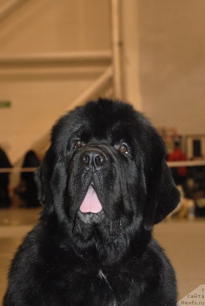 Фотография № 86476