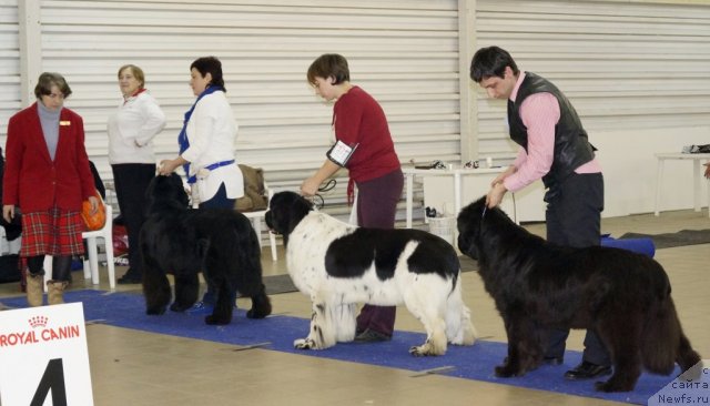 Фотография № 86489