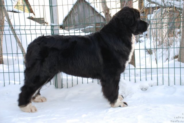 Фотография № 86504