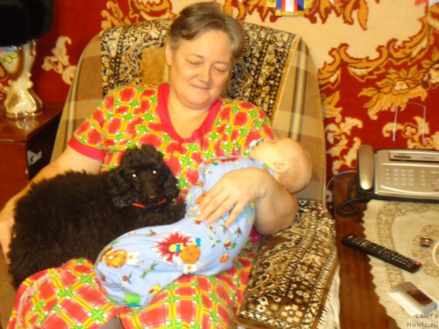 Фотография № 86512